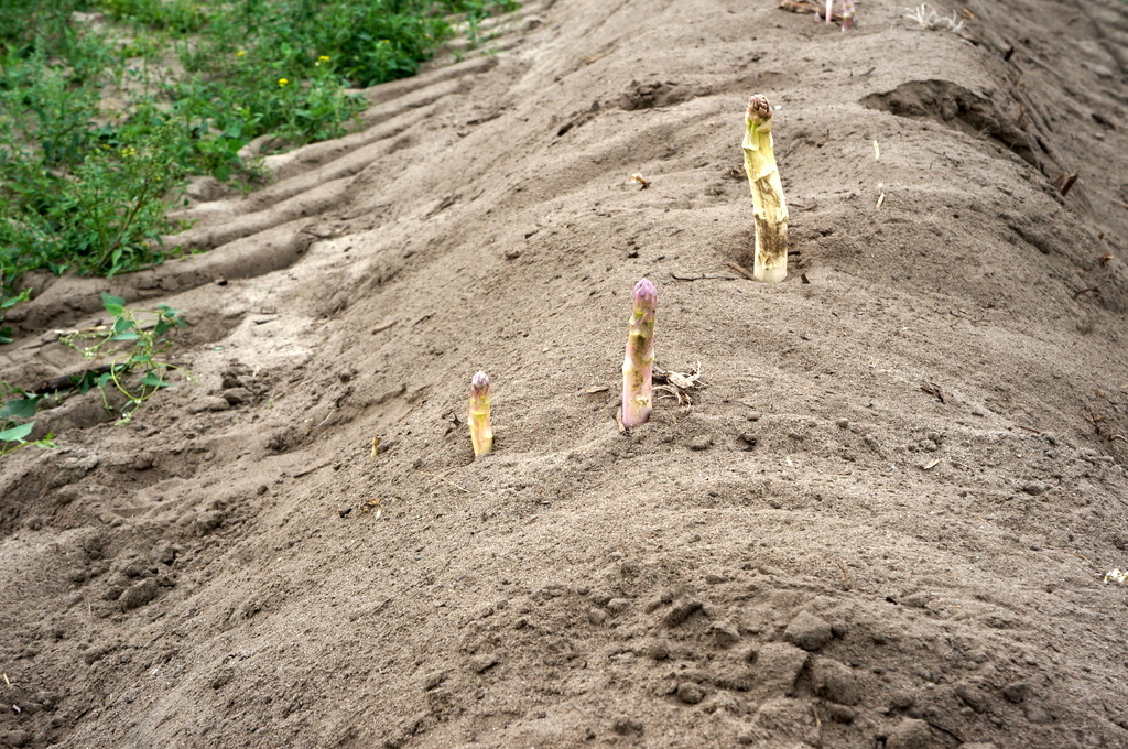 c0180686_00312378.jpg