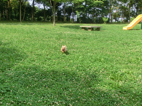 e0123587_22183065.jpg
