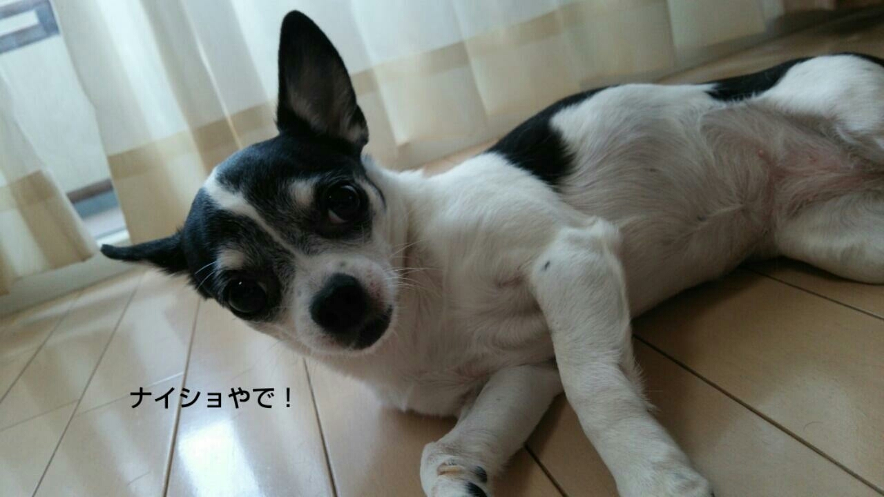 c0109891_06403778.jpg