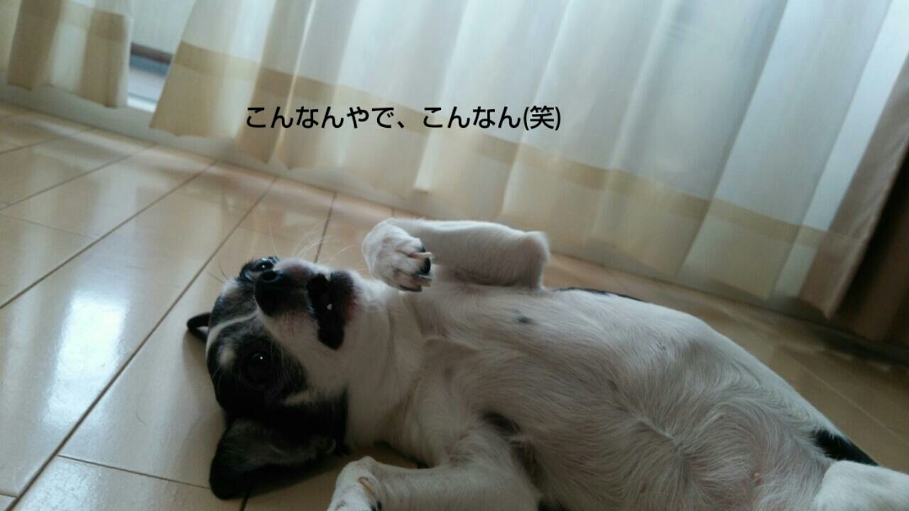 c0109891_06404771.jpg