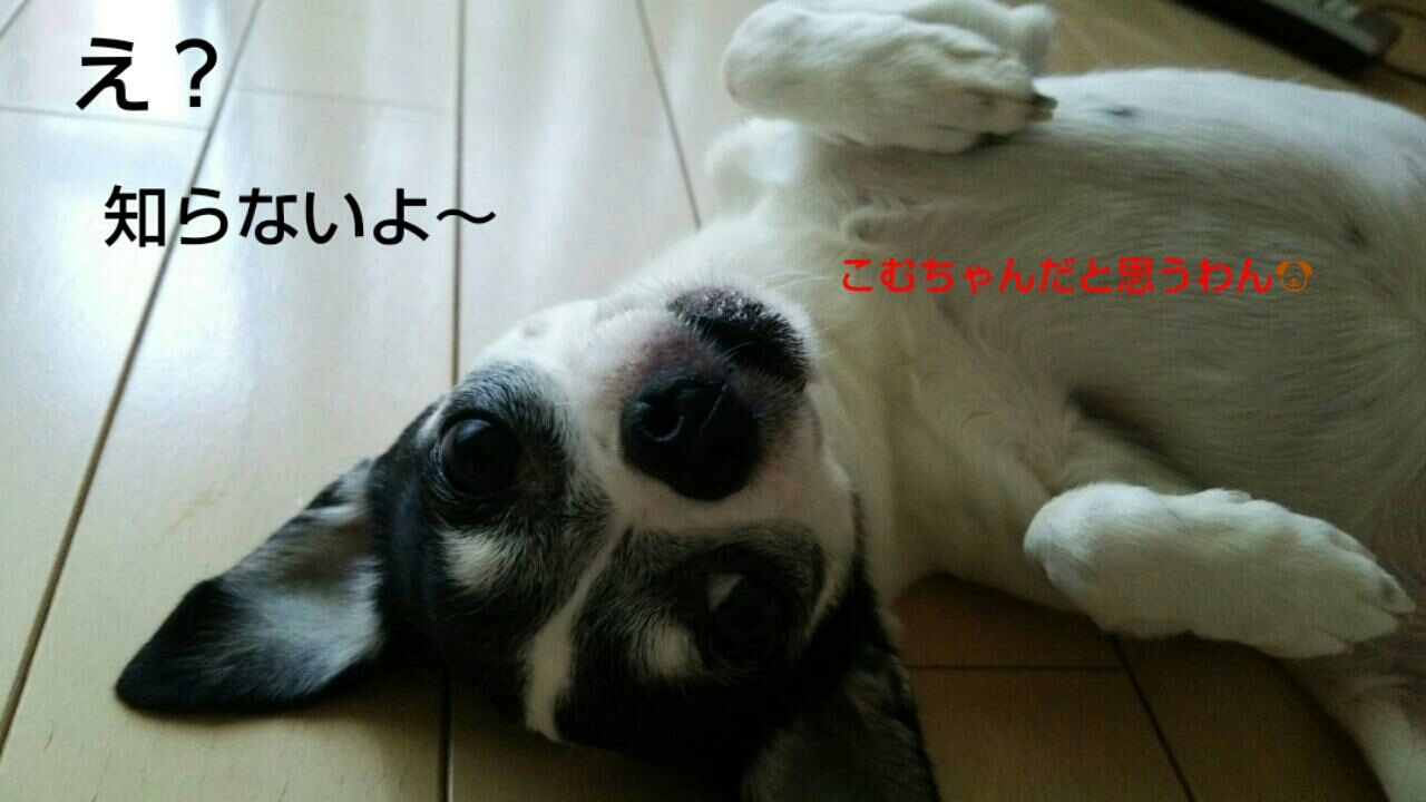 c0109891_06405397.jpg