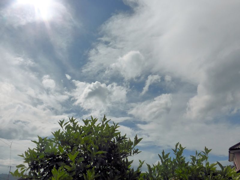b0057612_2145269.jpg