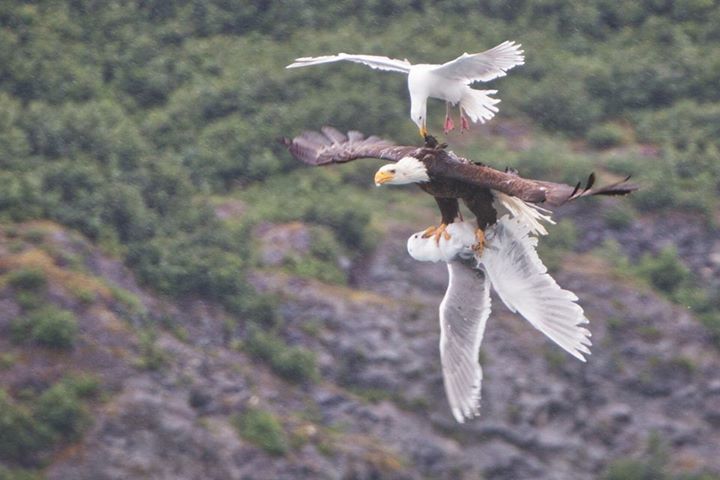 b0150018_11000667.jpg