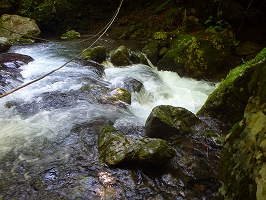 f0193521_1259547.jpg