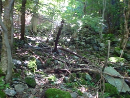 f0193521_1603561.jpg