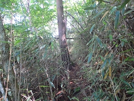 f0193521_1611451.jpg