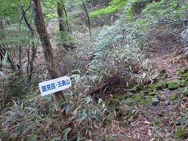 f0193521_1643755.jpg
