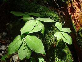 f0193521_16495746.jpg