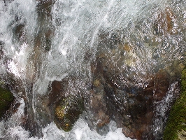 f0193521_16501982.jpg