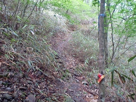 f0193521_165562.jpg