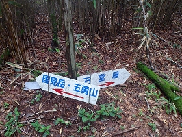 f0193521_1681889.jpg