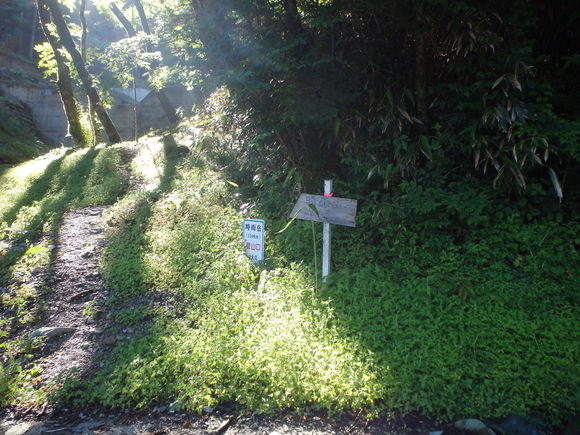f0193521_7481648.jpg