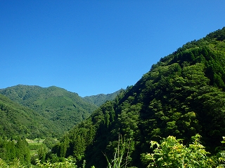 f0193521_8201418.jpg