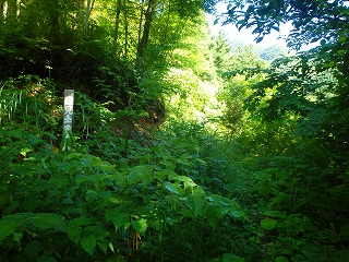 f0193521_8203984.jpg