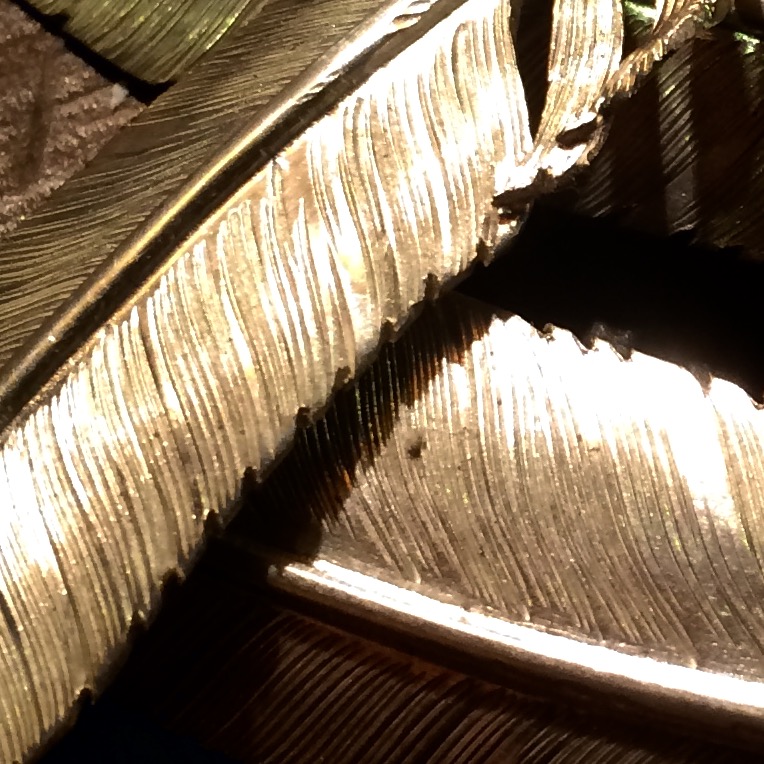 c0264425_2163299.jpg