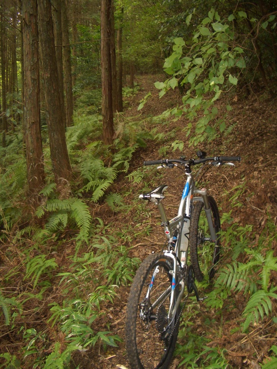 b0222530_16505330.jpg
