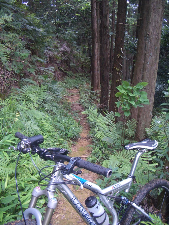 b0222530_16512545.jpg