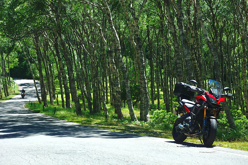 d0164443_2015447.jpg