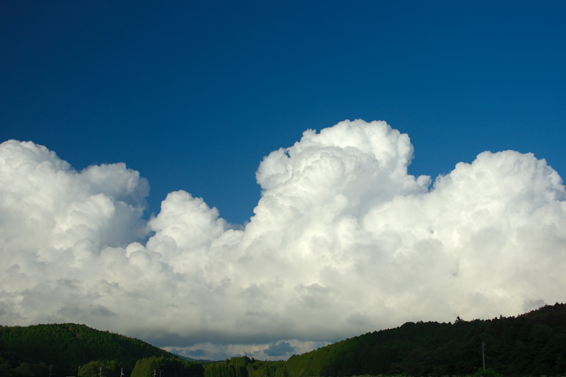 d0164443_2073679.jpg