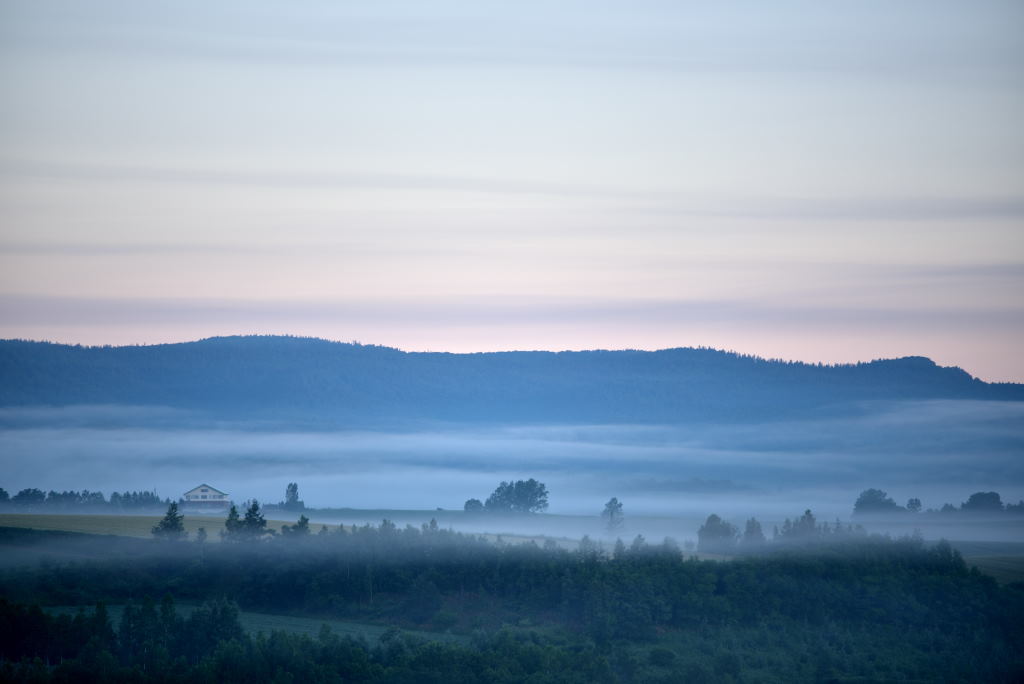 e0305745_20521033.jpg