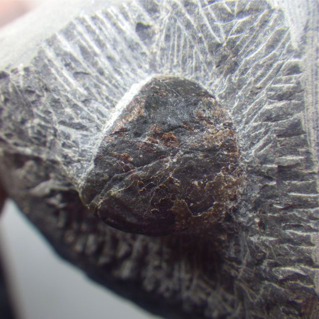 e0290546_19583871.jpg