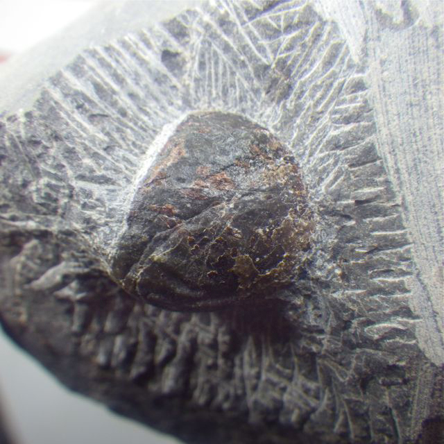 e0290546_20083556.jpg