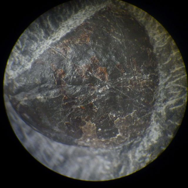 e0290546_20095862.jpg