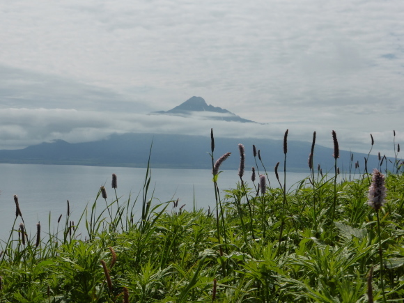 b0243152_23255137.jpg