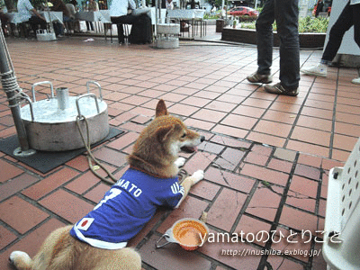 a0286855_6325966.gif