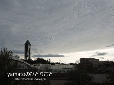 a0286855_633350.gif
