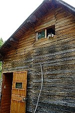 f0035962_1335554.jpg