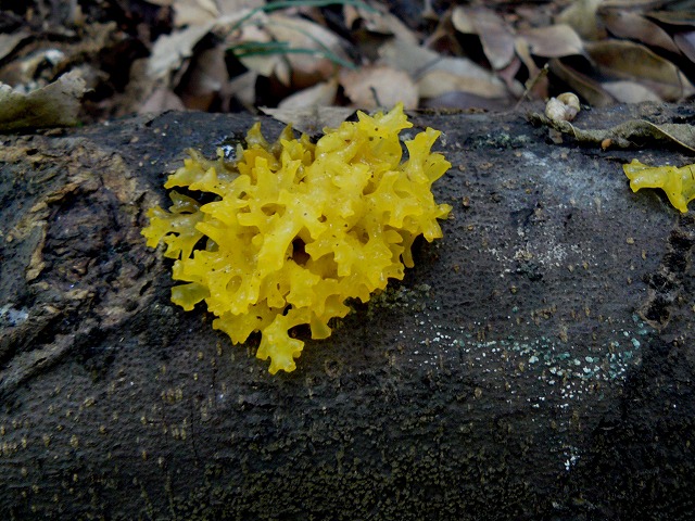d0019074_724670.jpg