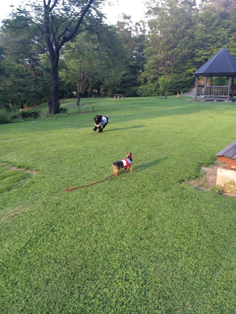 c0283778_16335668.jpg