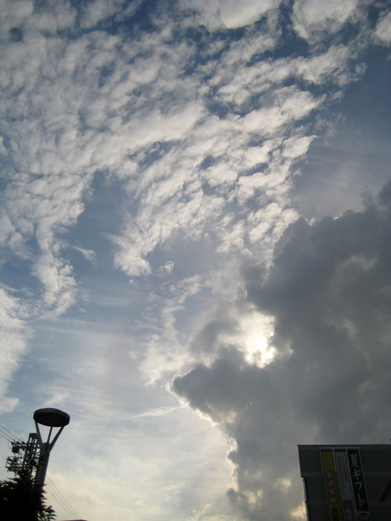 b0057679_9131454.jpg