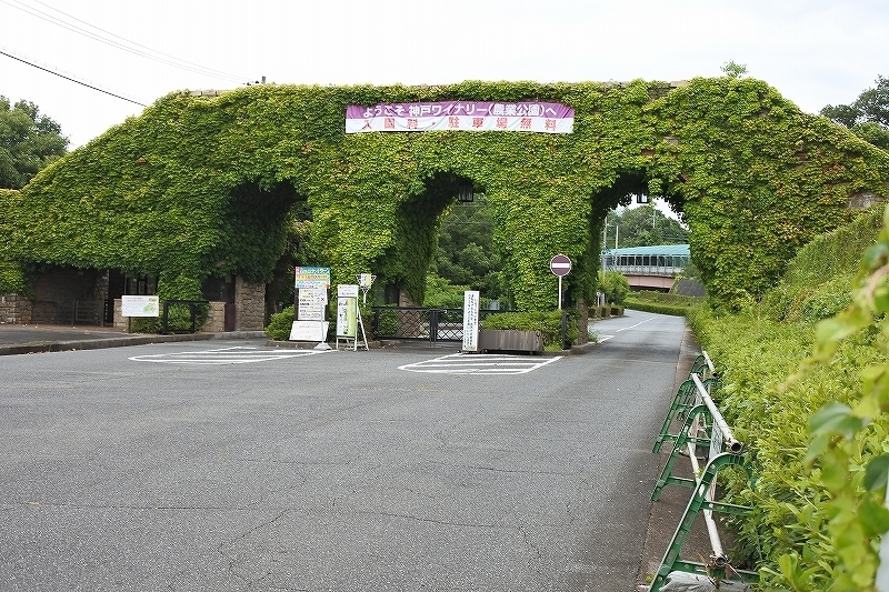 e0024081_19312920.jpg