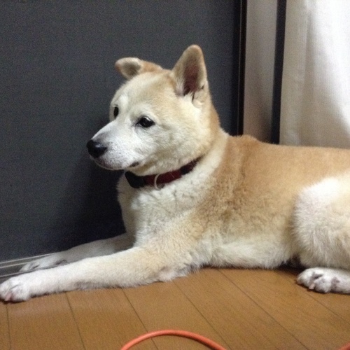 c0123890_2053850.jpg