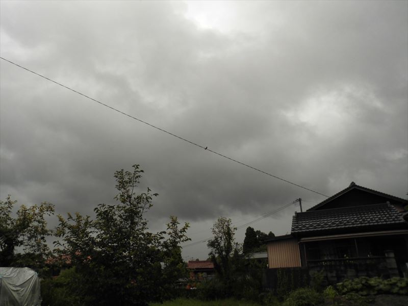 c0108198_1663139.jpg