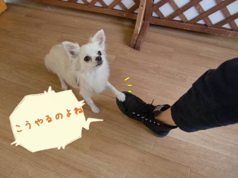 a0338800_20101567.jpg