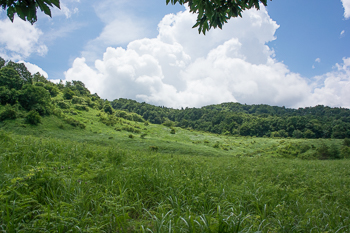 d0001300_22125196.jpg