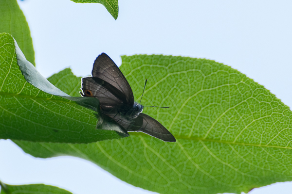 d0001300_22415567.jpg