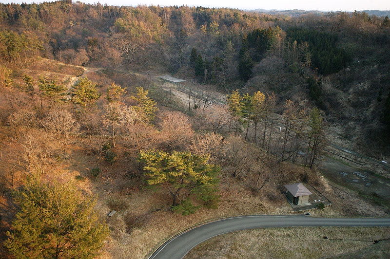 c0072801_1047145.jpg
