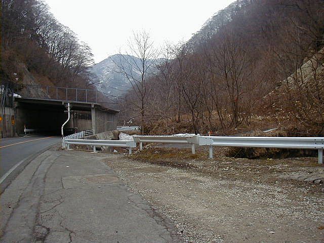 c0072801_1713918.jpg