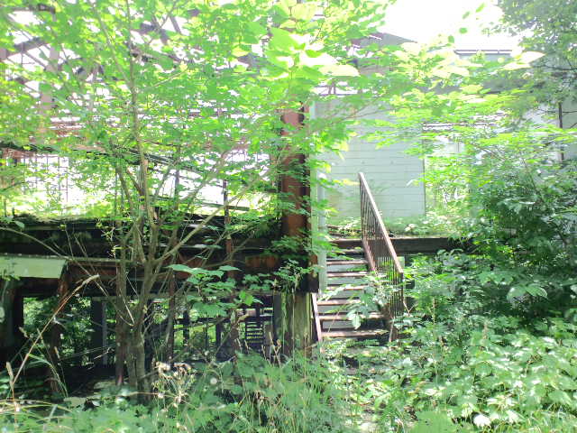 c0072801_17192924.jpg