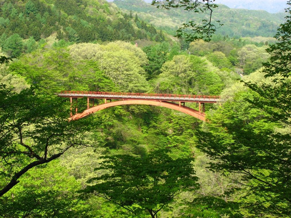 c0072801_1741471.jpg