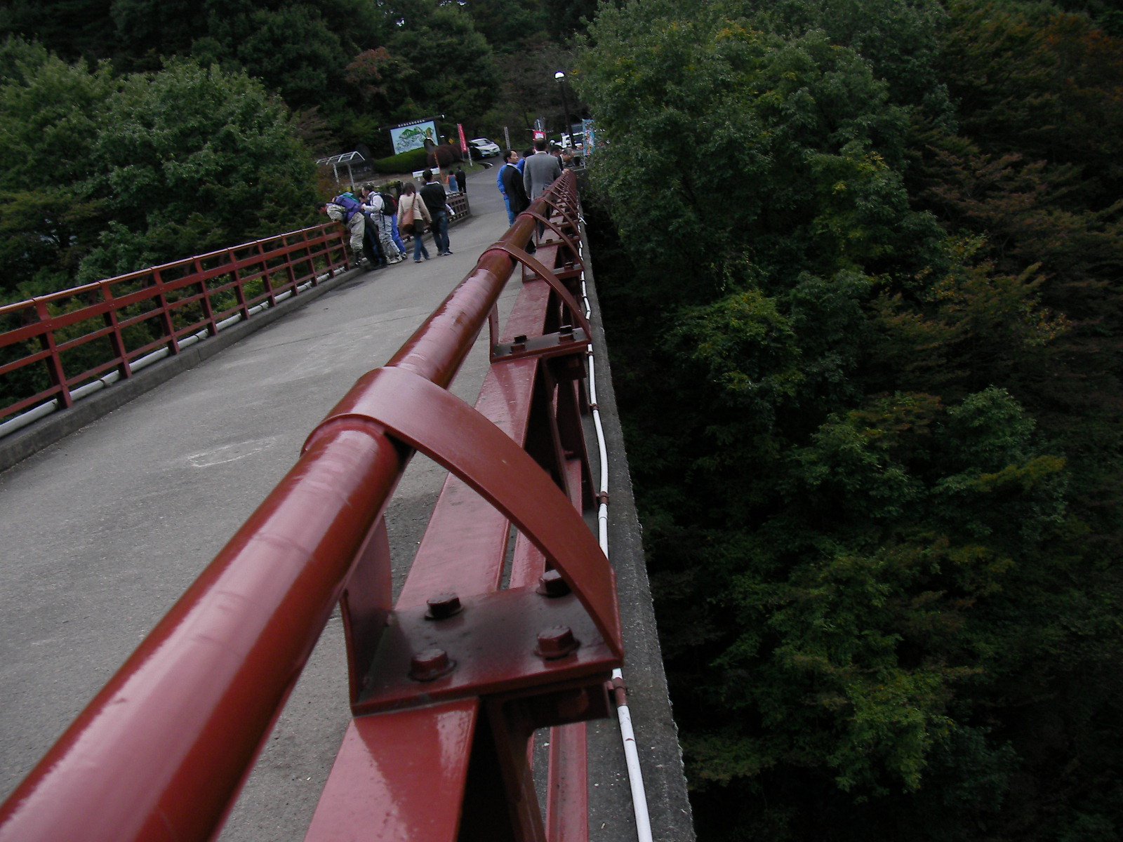 c0072801_1742435.jpg