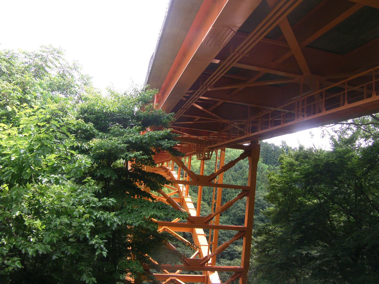 c0072801_1747206.jpg
