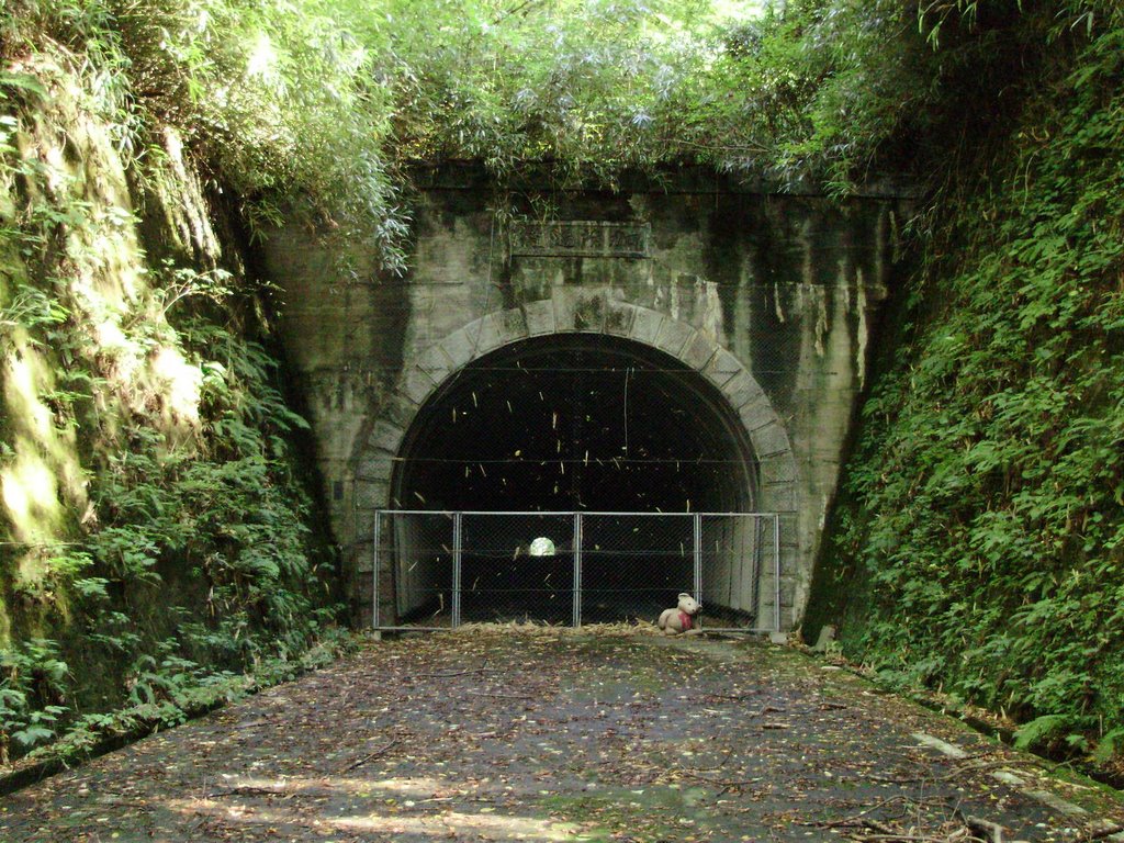 c0072801_176481.jpg