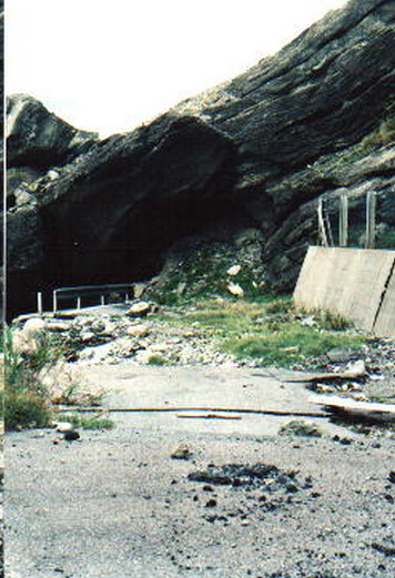 c0072801_177048.jpg