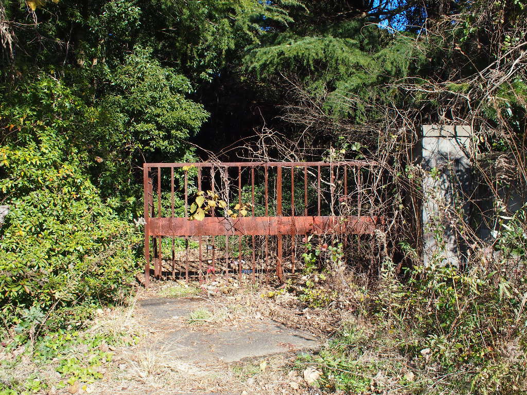 c0072801_18142825.jpg
