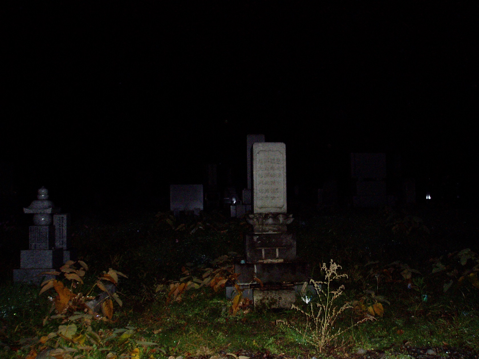 c0072801_8401169.jpg